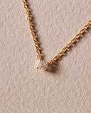 Collar Classic