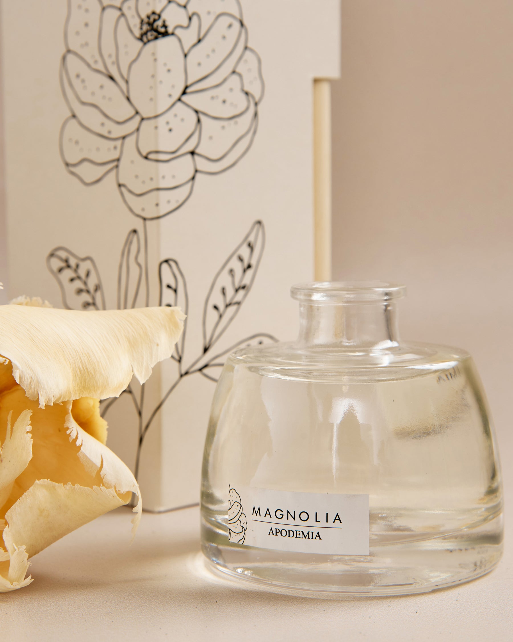 Magnolia Mikado