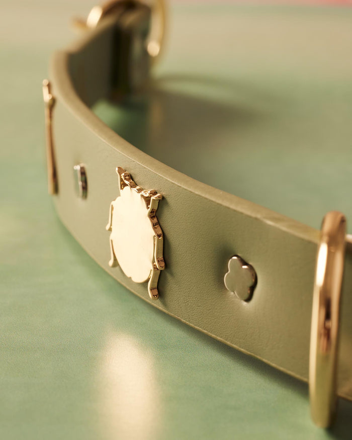 Collar Insectos Verde | S | M | L |