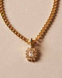 Collar Succulenta Milii
