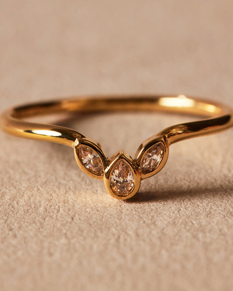 Anillo Succulenta Simple