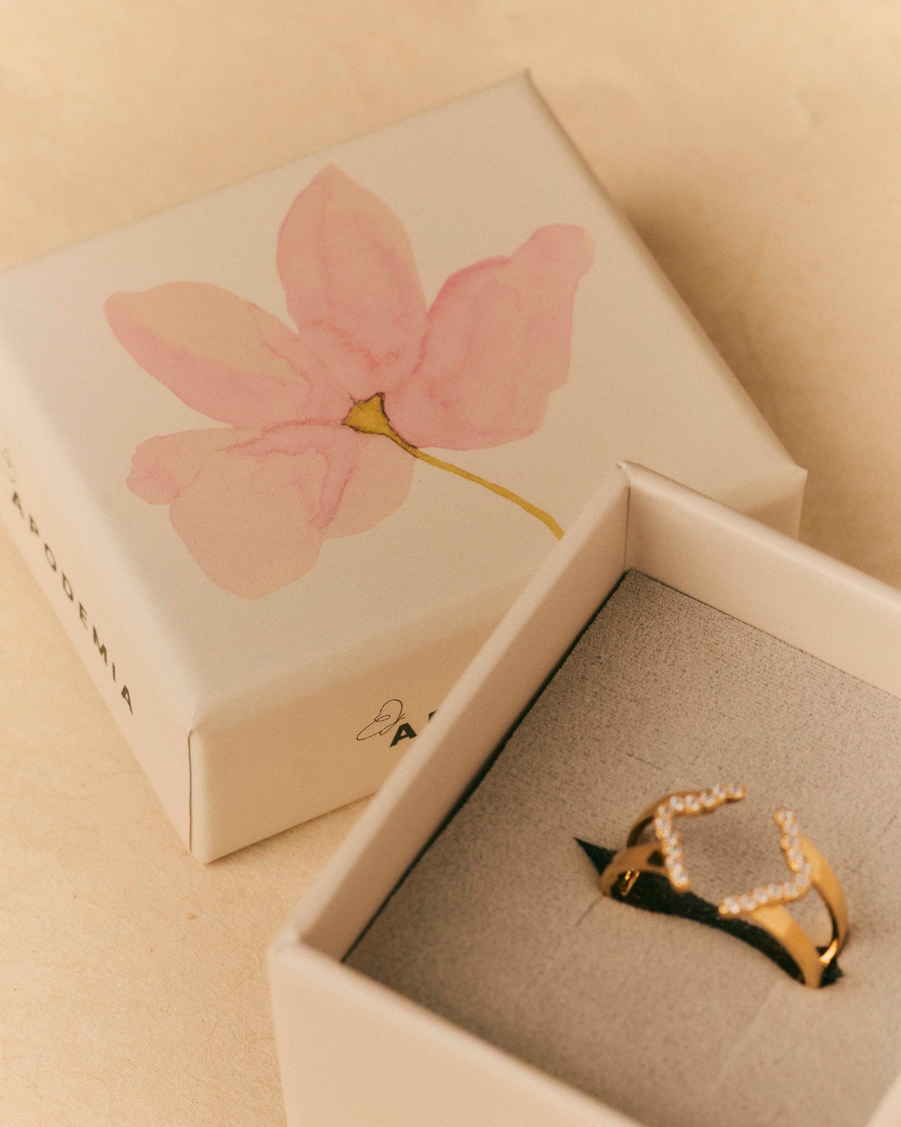 Packaging De Regalo