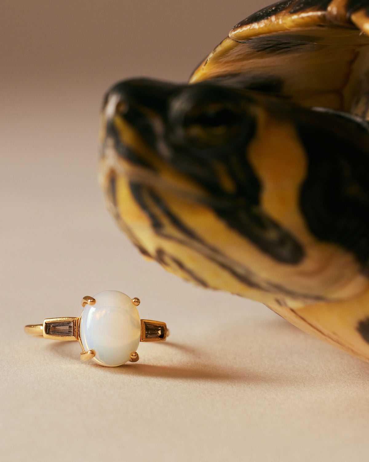 Anillo Moon