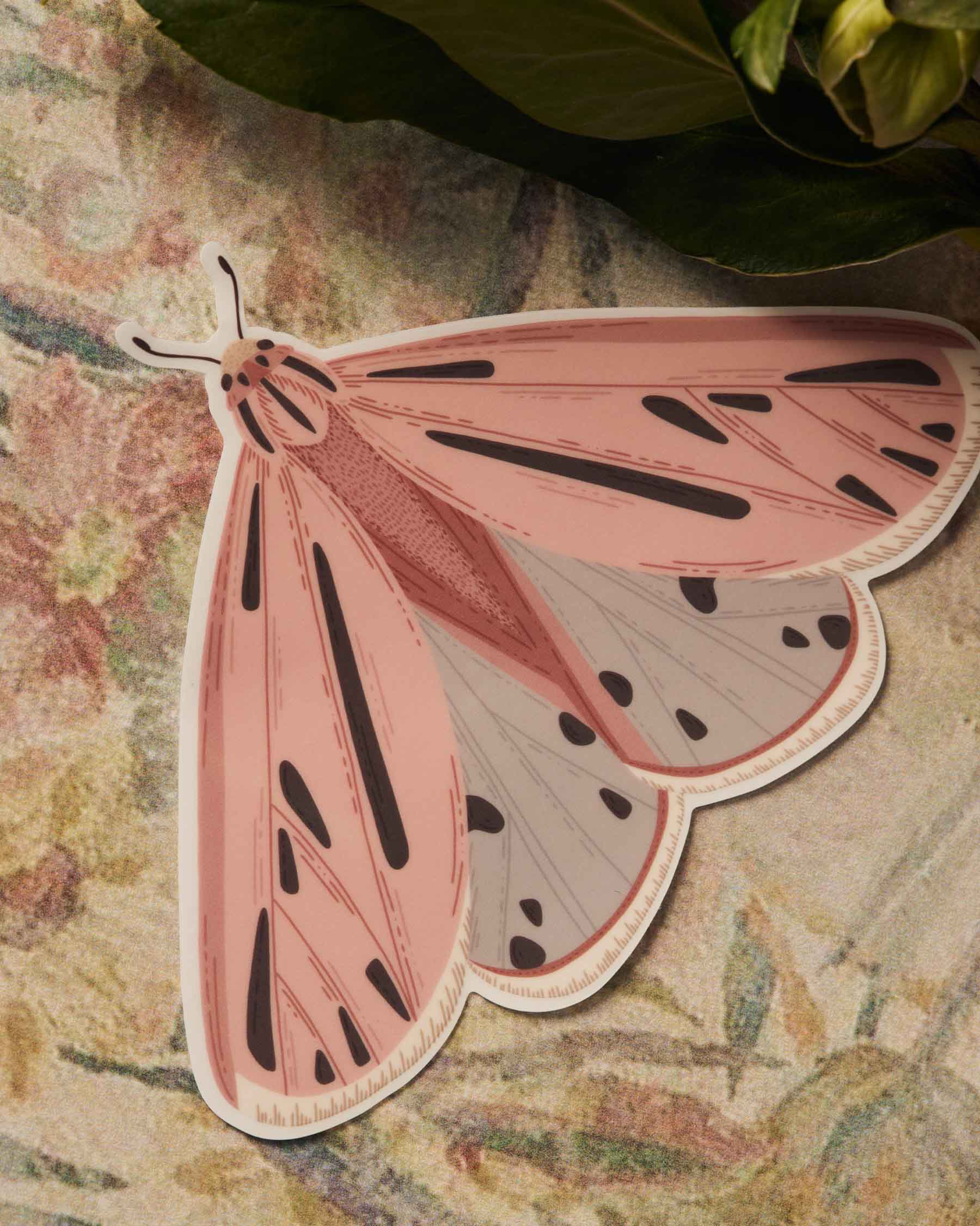 Pink Moth Vinyl