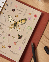 The Gray Box Butterfly Poppy Rings Agenda - The Gray Box