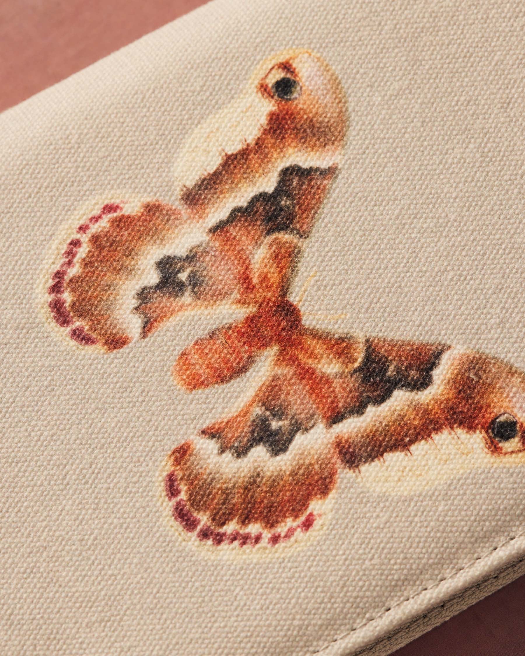 Butterfly Travel Jewelry Box