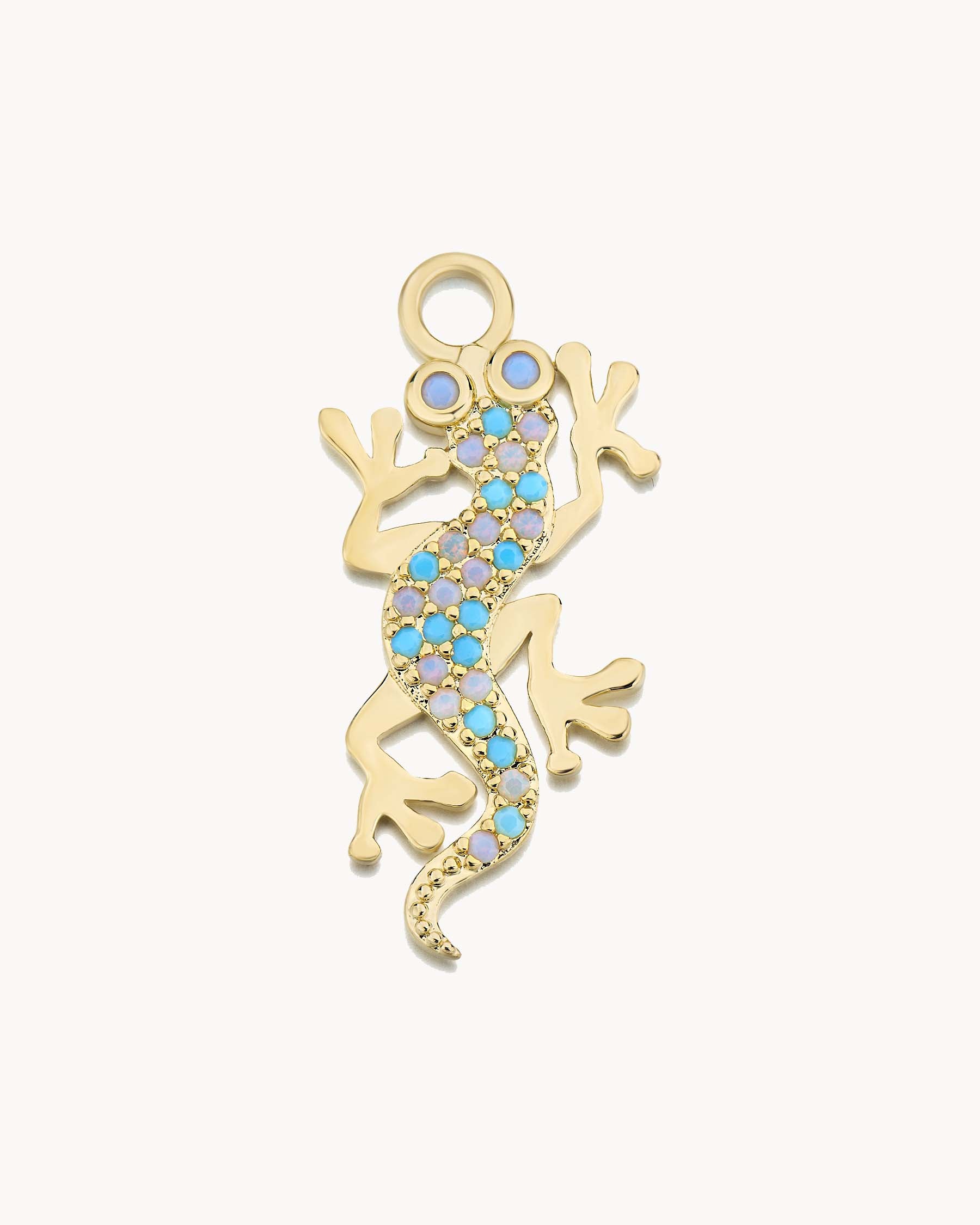Salamander Charm