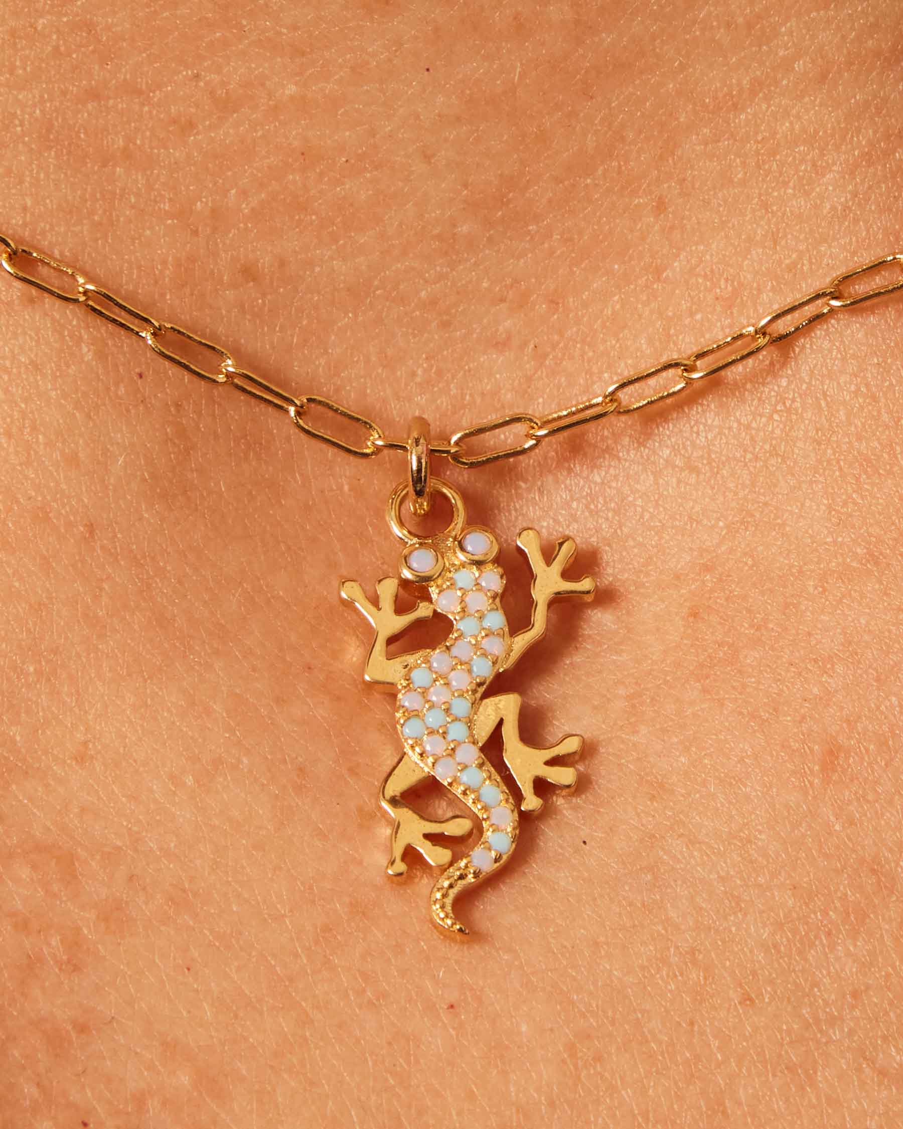 Salamander Charm