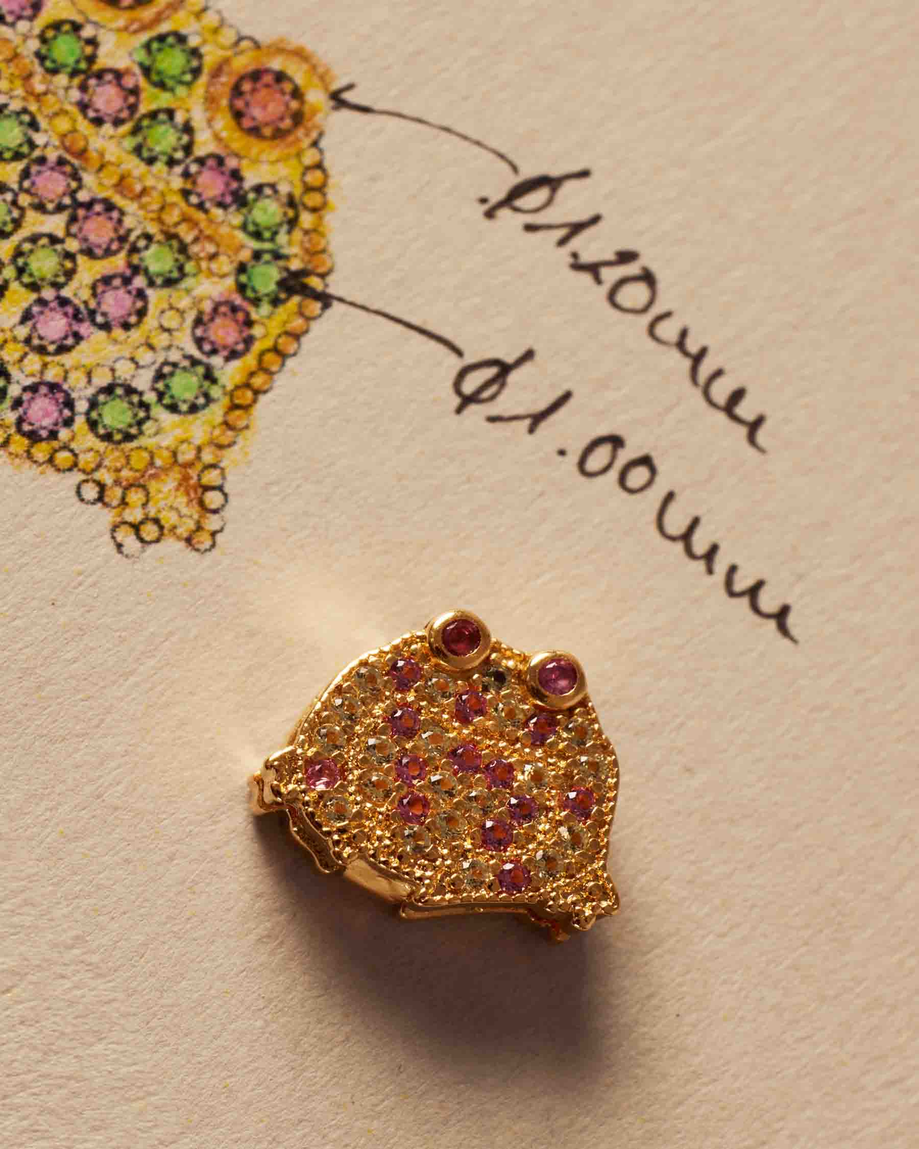 Charm Clip Crapaud