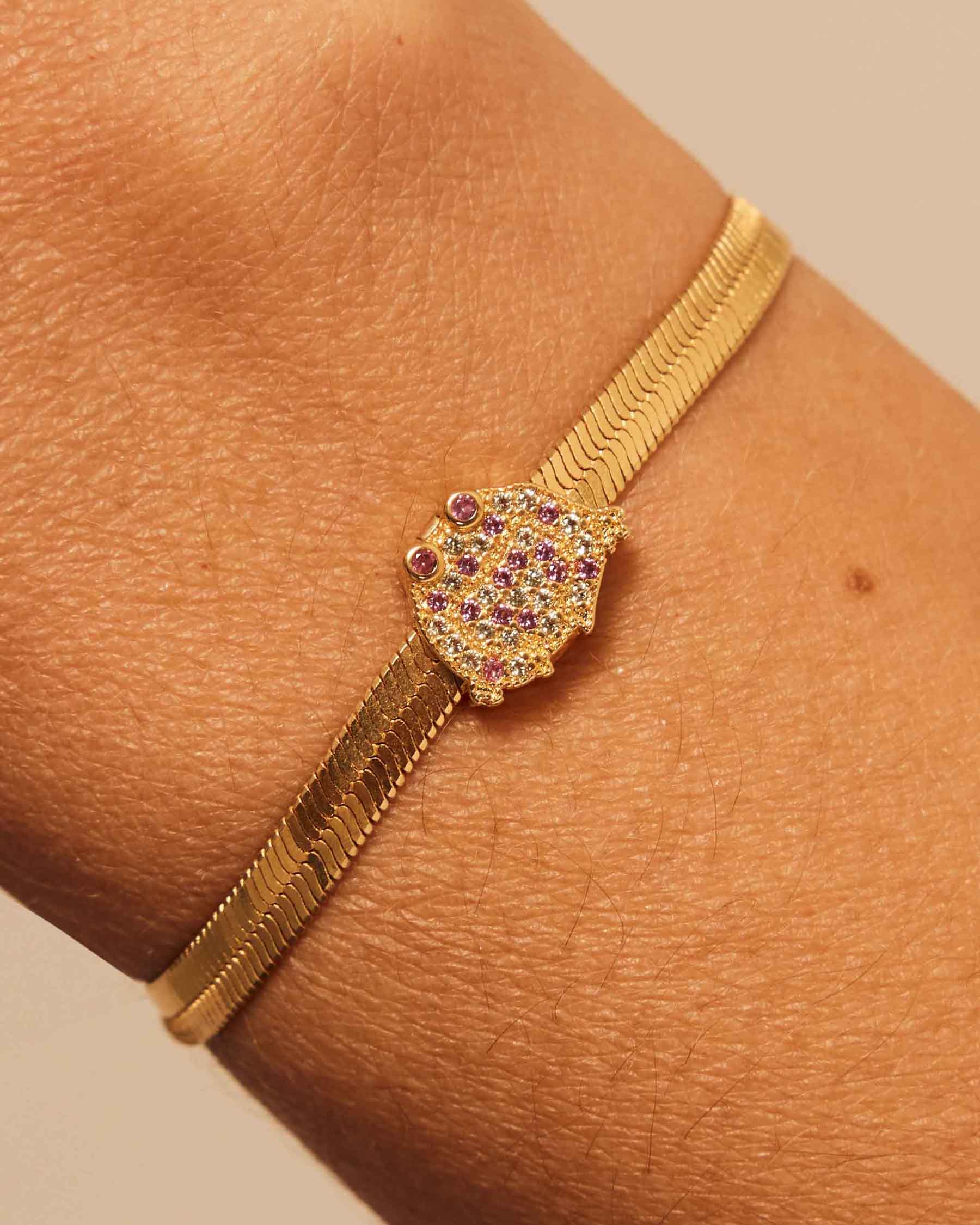 Charm Clip Crapaud