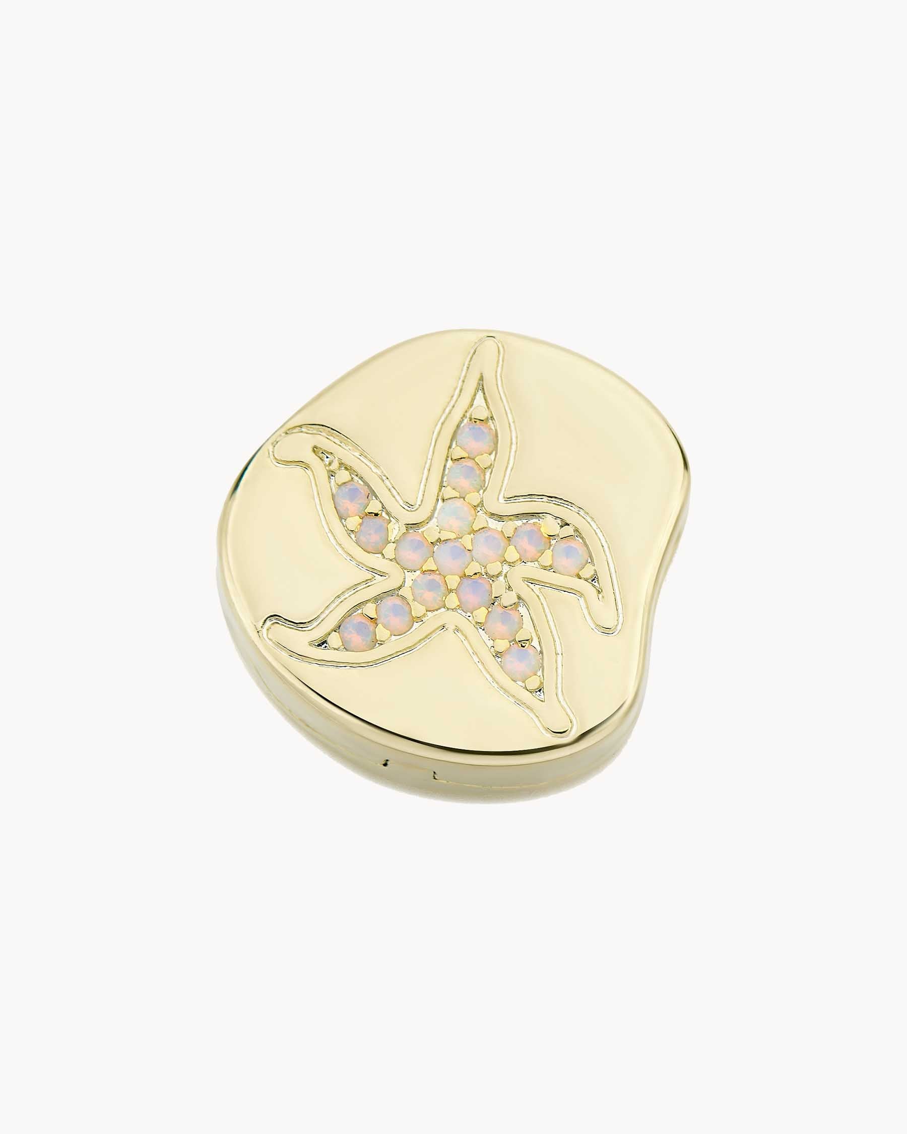 Charm Clip Estrella Fósil