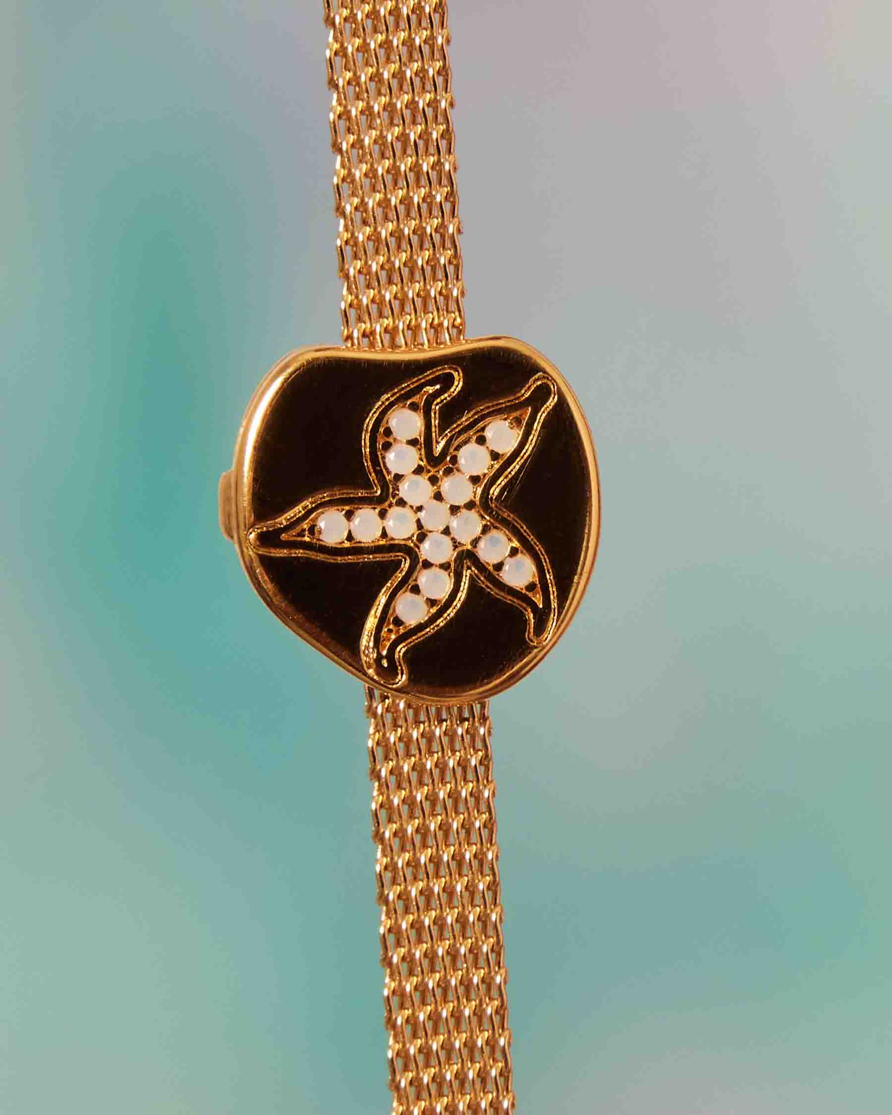 Charm Clip Estrella Fósil