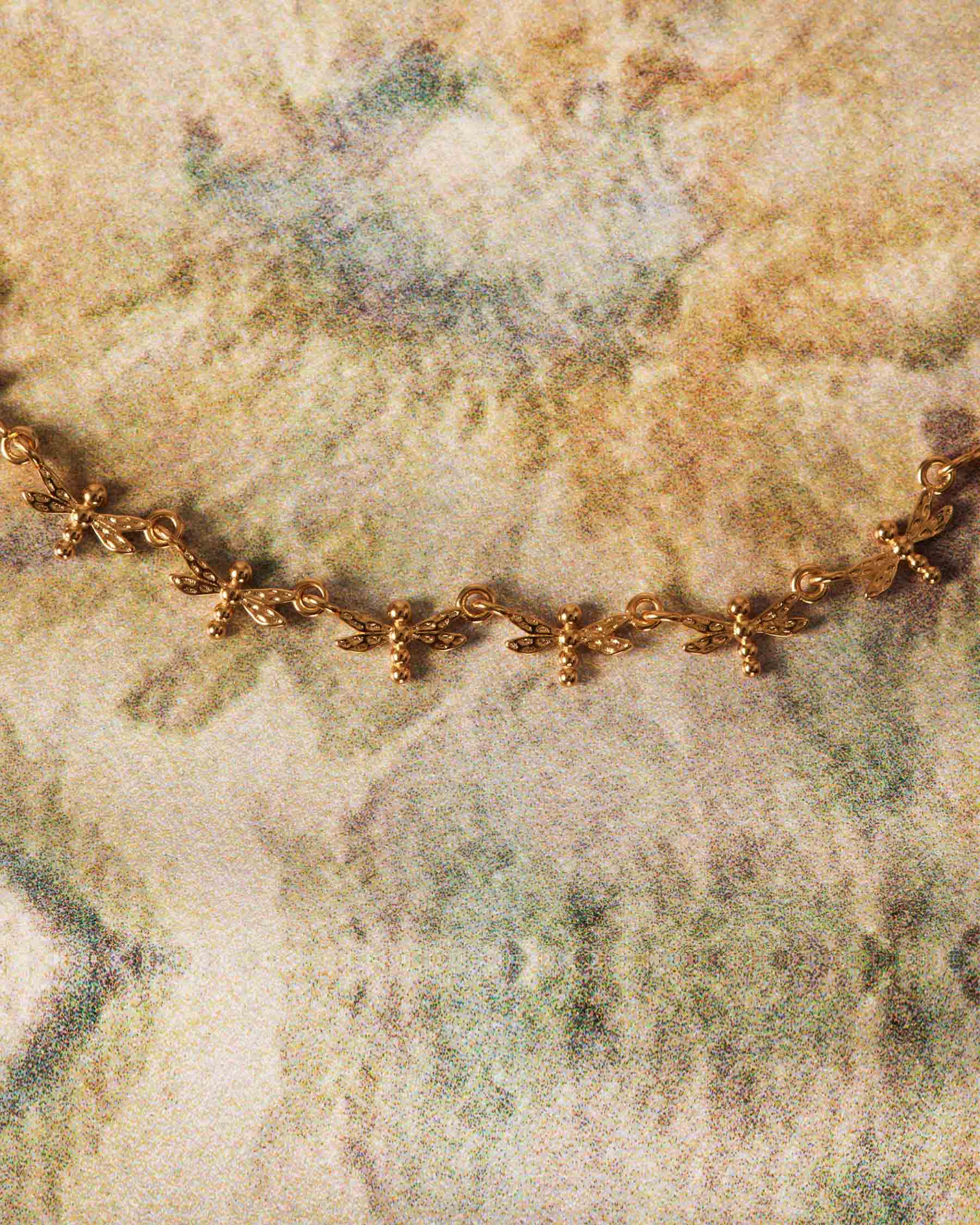 Collar Linked Dragonfly