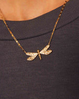 Collar Dragonfly