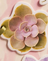 Tarjeta Personalizable Flor Succulenta Perfumable