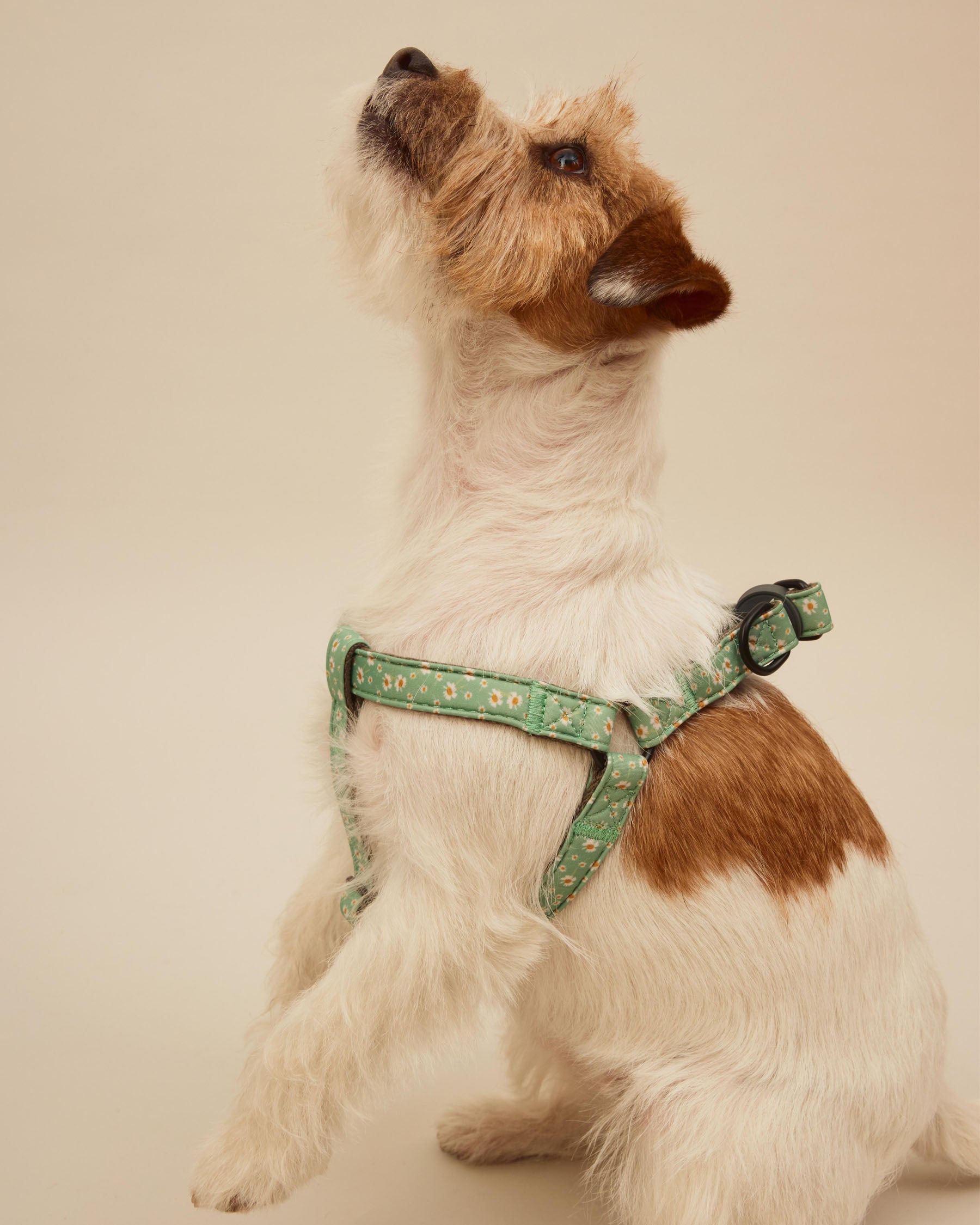 Flower harness S