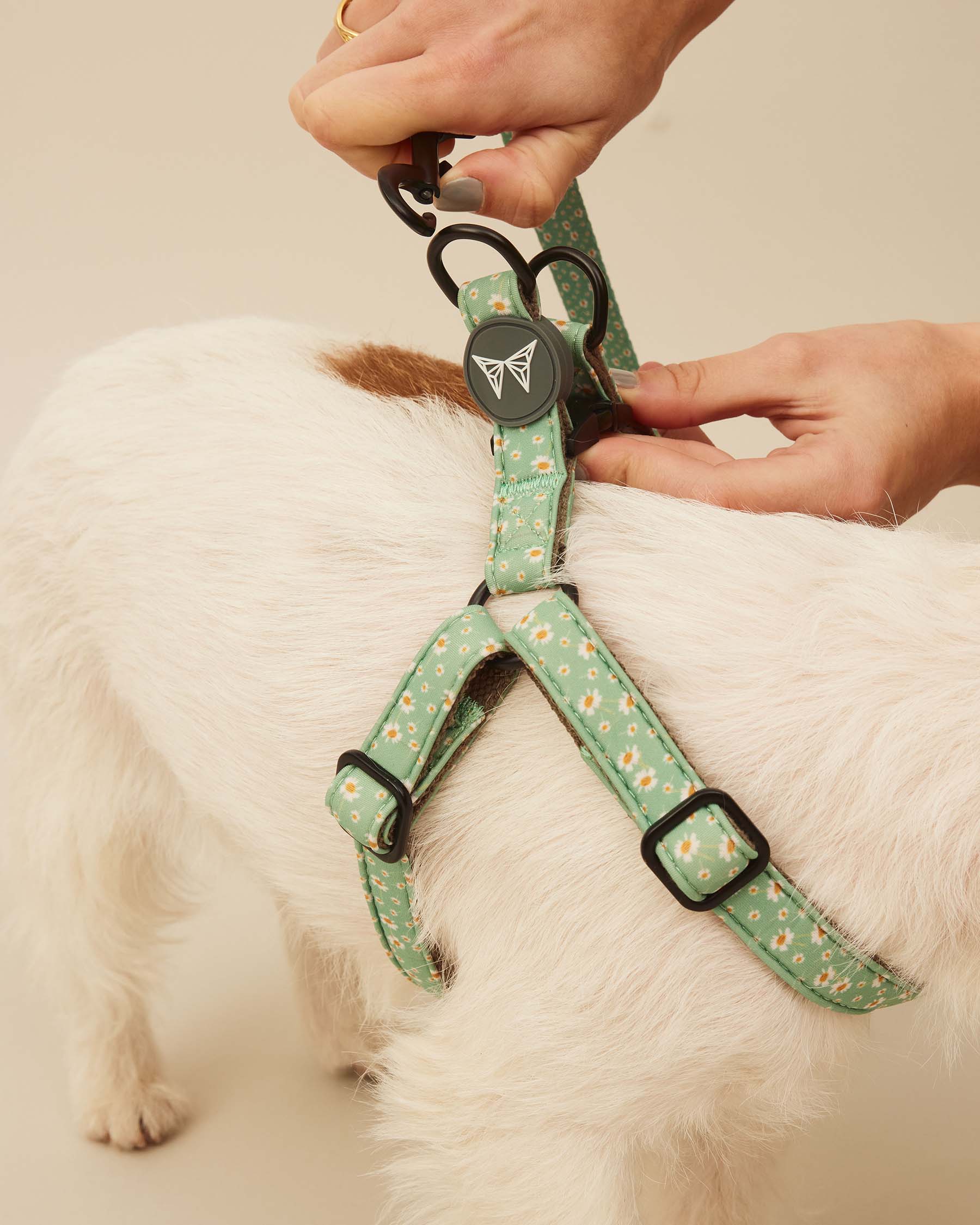 Flower harness S