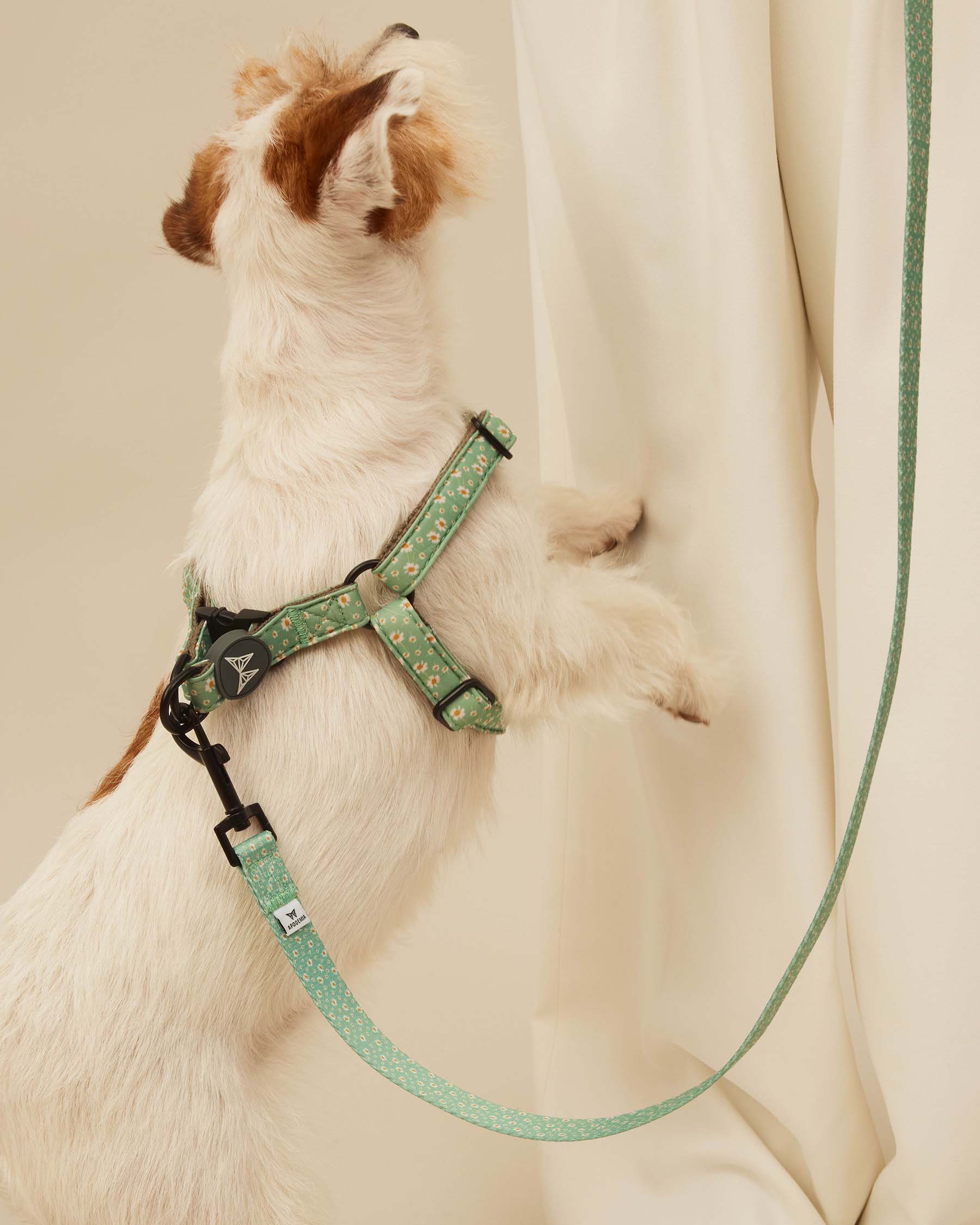 Flower harness S