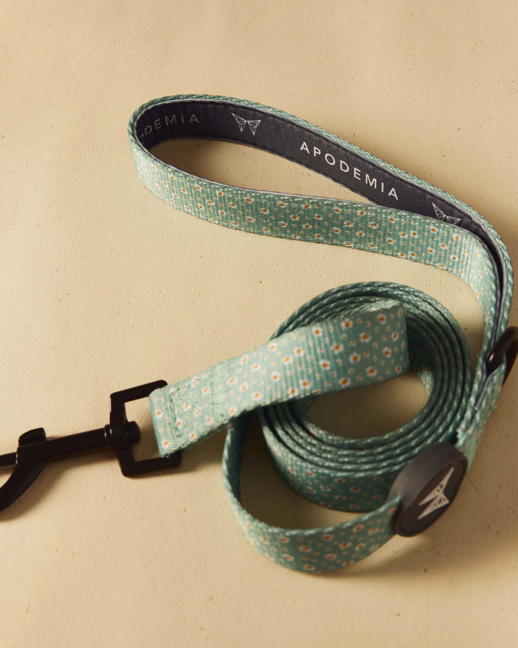 Flower belt