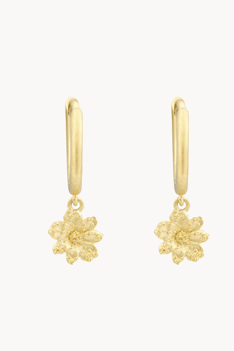 Pendientes Aro Zinia