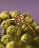 Anillo  Zinnia