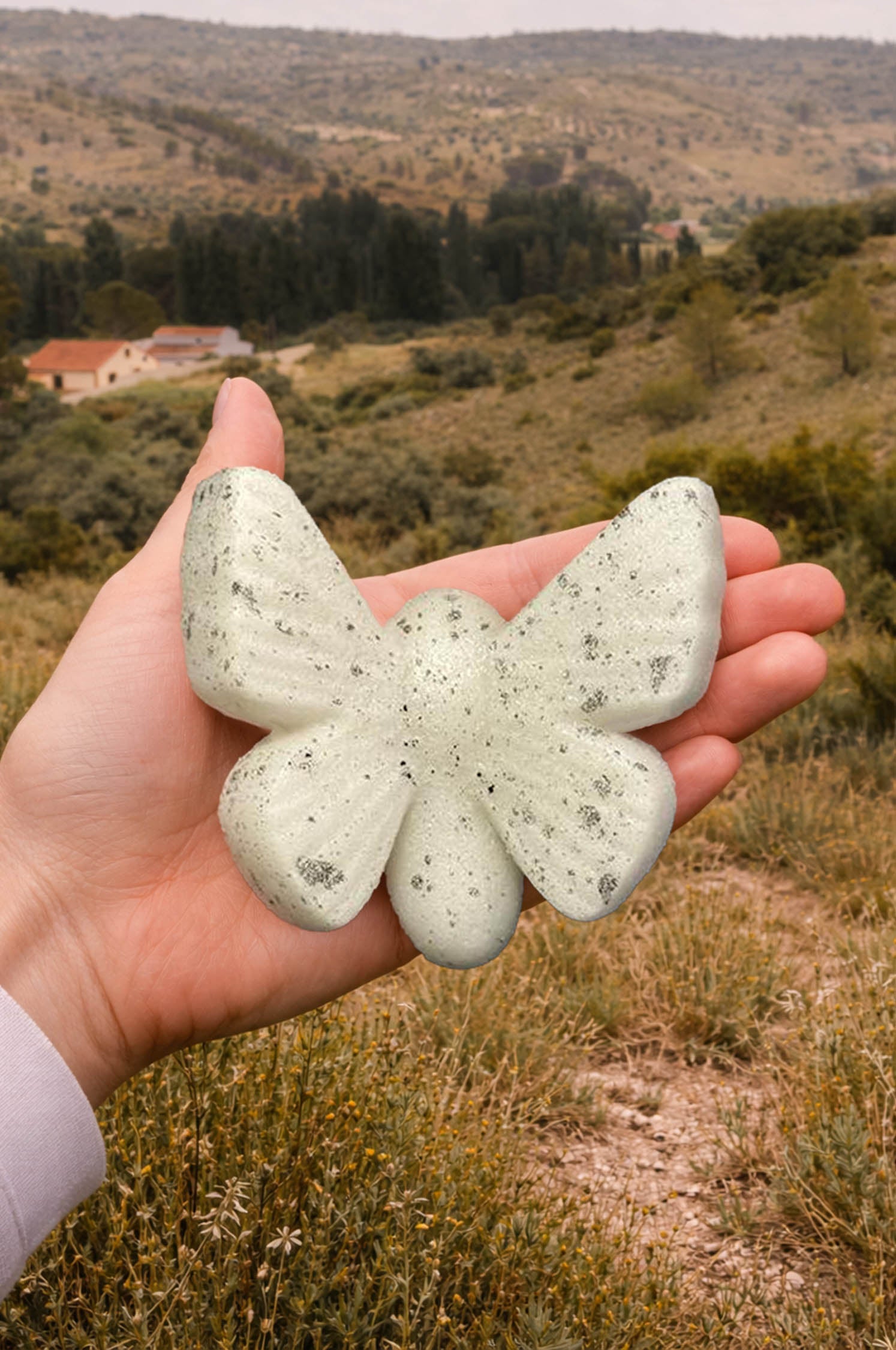 Crisalida verde