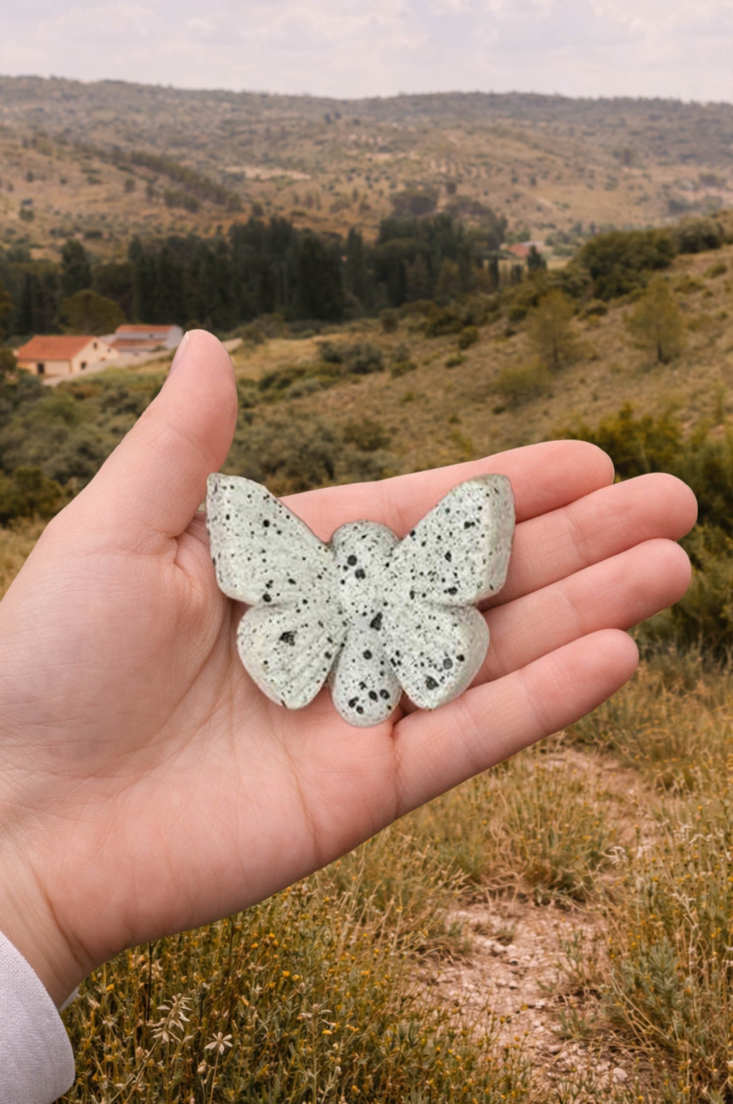 Crisalida verde