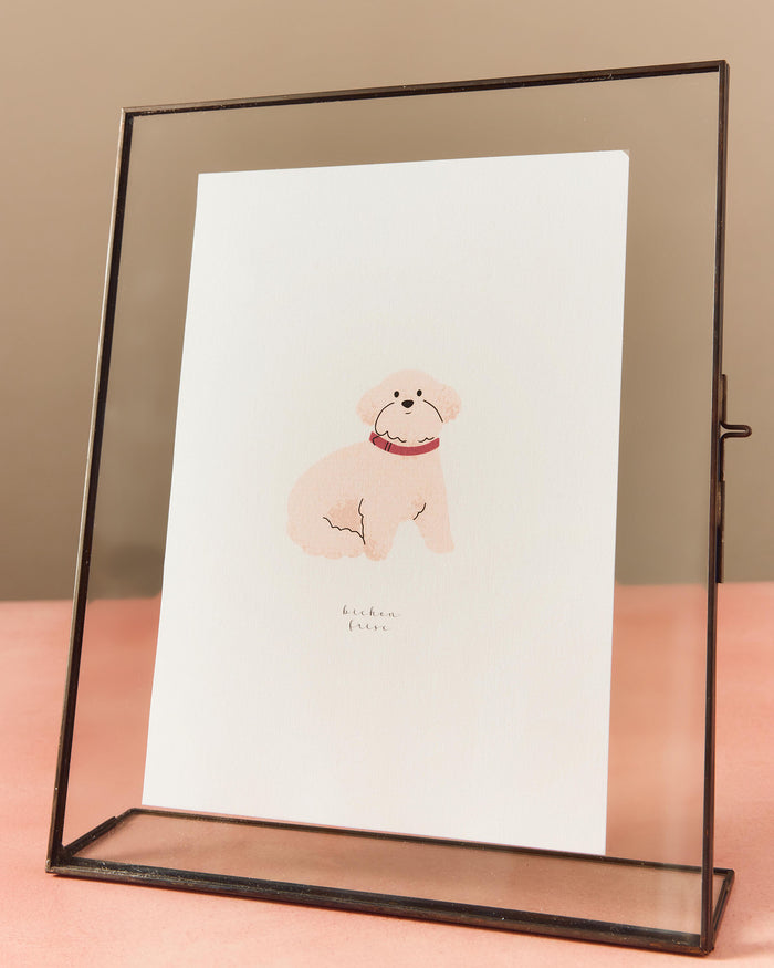Illustration Pets | LIMITED EDITION