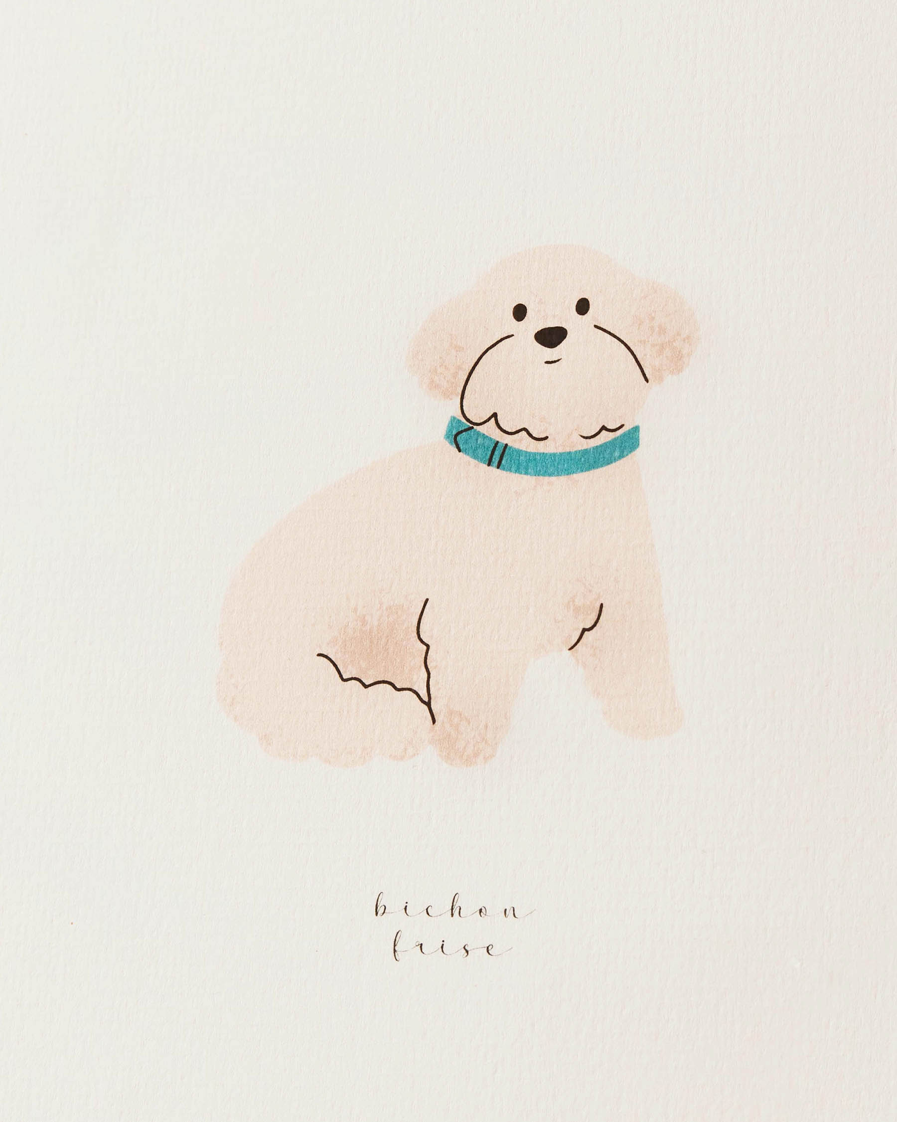 Illustration Pets | LIMITED EDITION