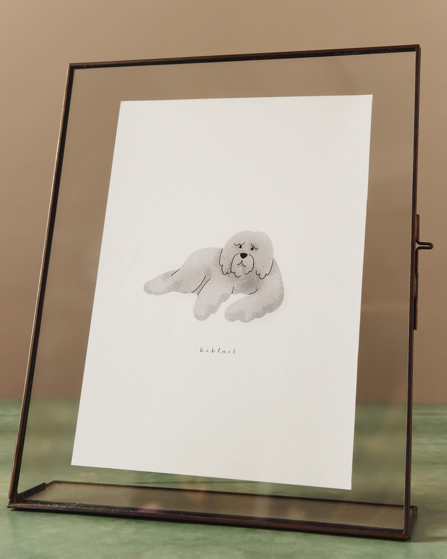 Illustration Pets | LIMITED EDITION
