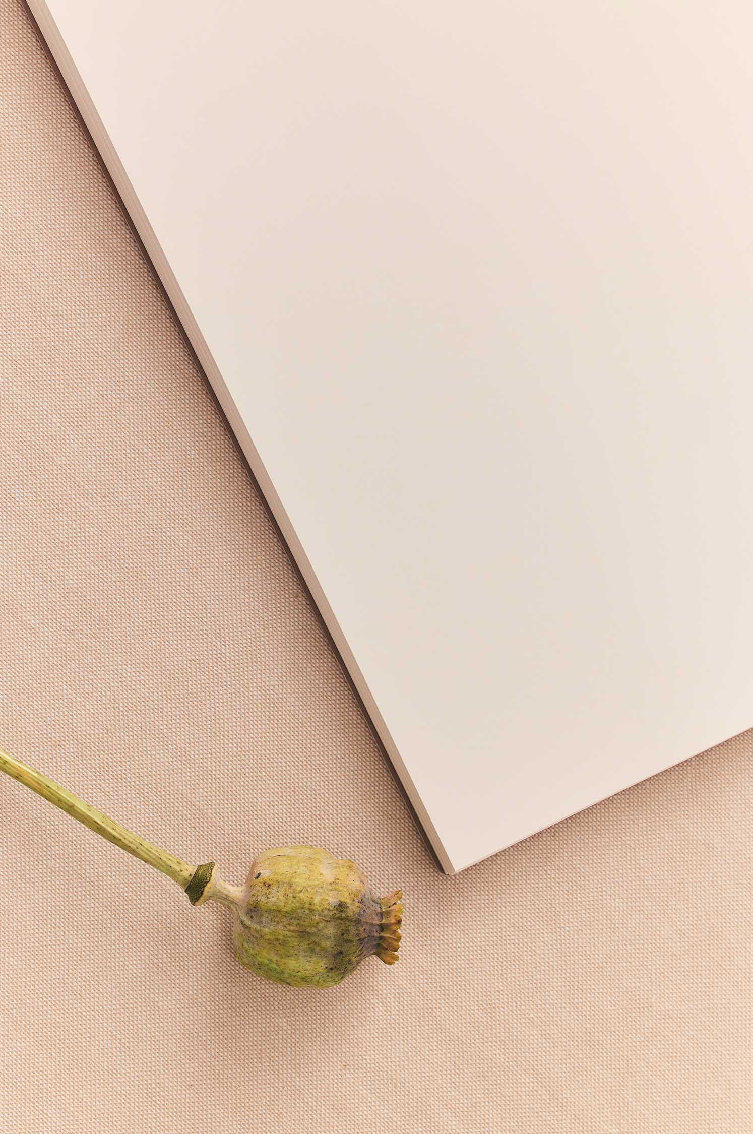Metallische Notizbuch-Schmetterlinge