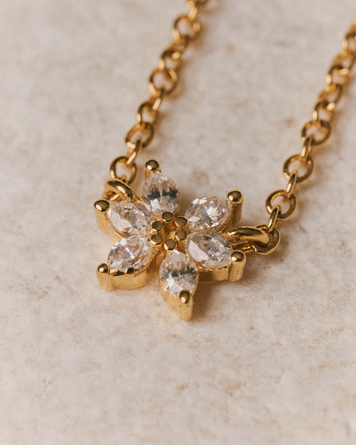 Collar Olivia Wild