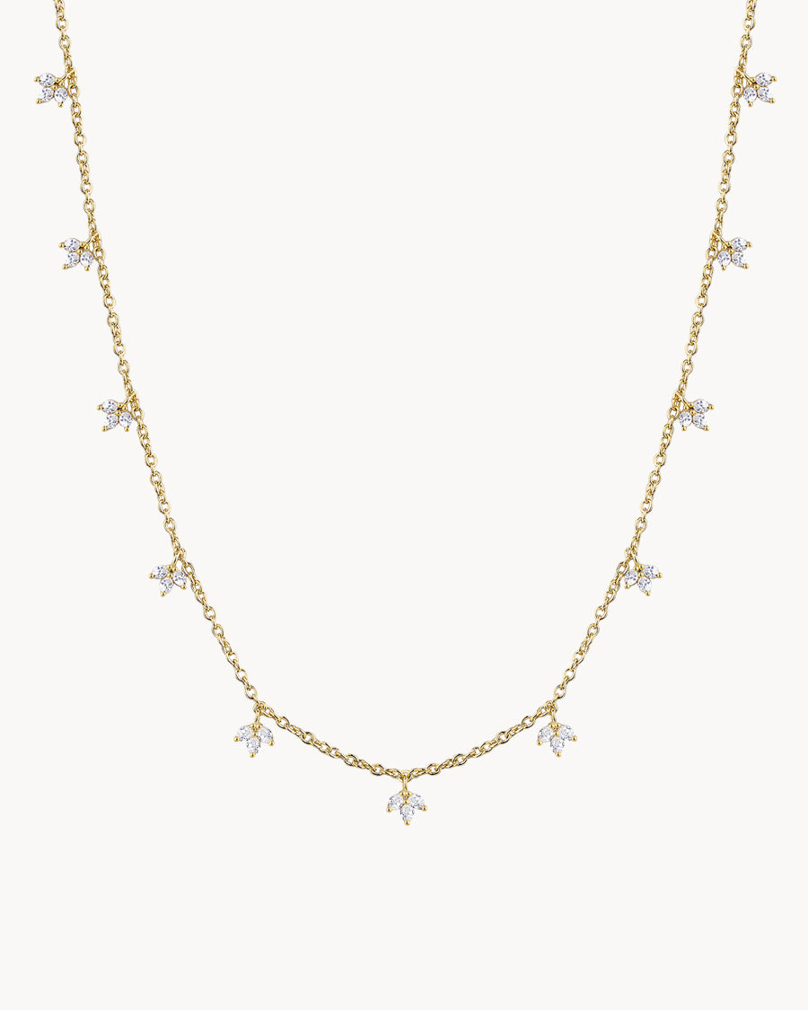 Collar Full Olivia Wild