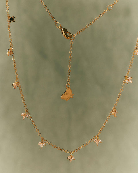 Collar Full Olivia Wild