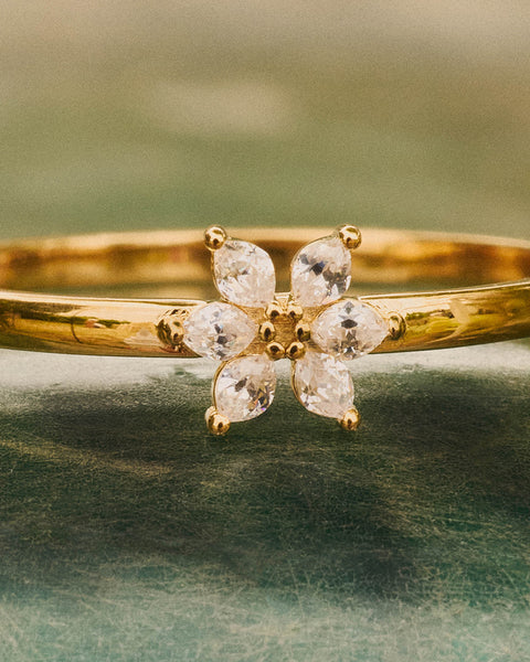 Olivia Wild Simple Ring
