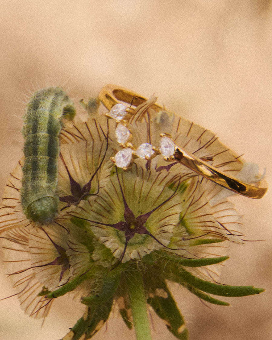 Olivia Wild Ring 