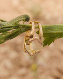 Anillo Bulky Olivia Wild