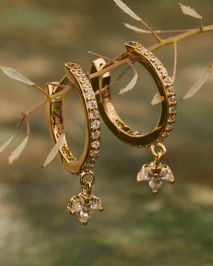 Pendientes Aro Olivia Wild