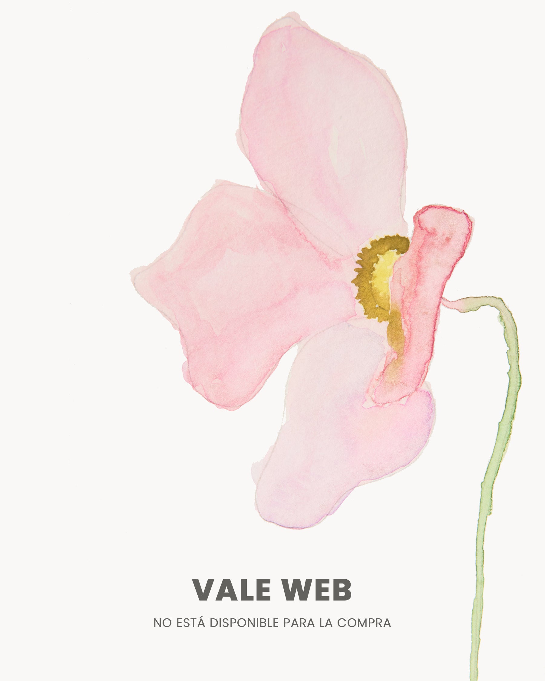 Vale Web