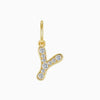 Charm Curve Letra Y