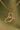Collar Apodemia Logo