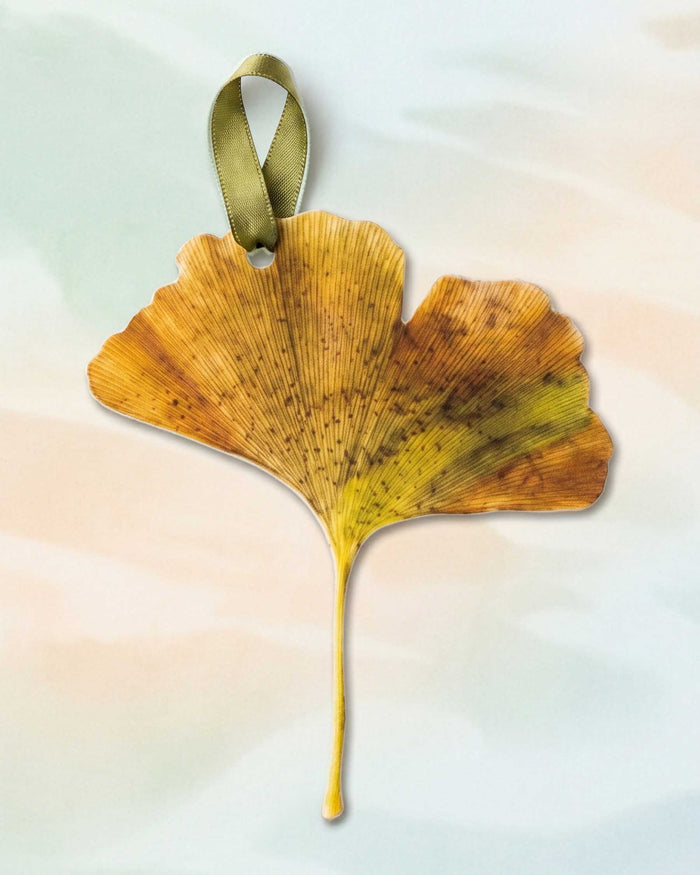 Tarjeta Personalizable Hoja de Ginko Perfumable
