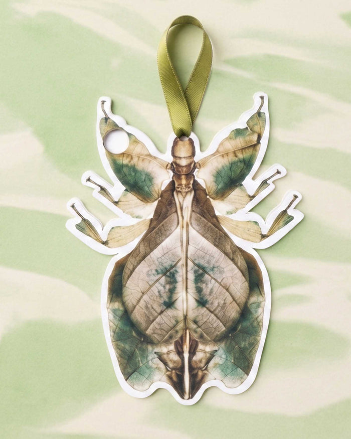Tarjeta Personalizable Insecto Hoja Perfumable