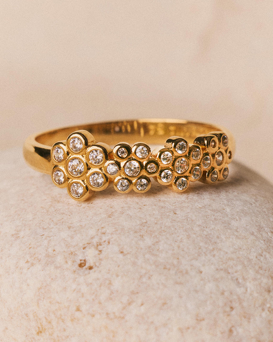 Anillo Medium Petalo
