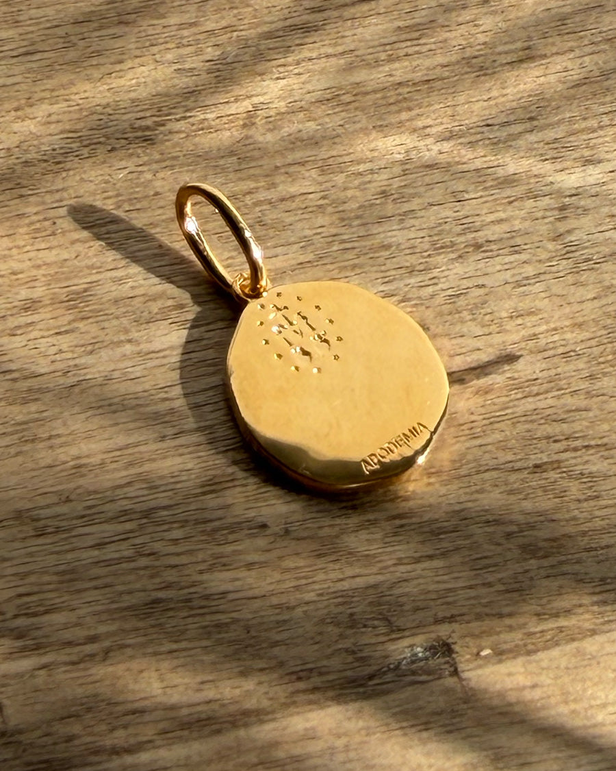 Charm Virgen de la Milagrosa