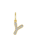 Charm Curve Letra Y