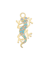 Charm Salamander