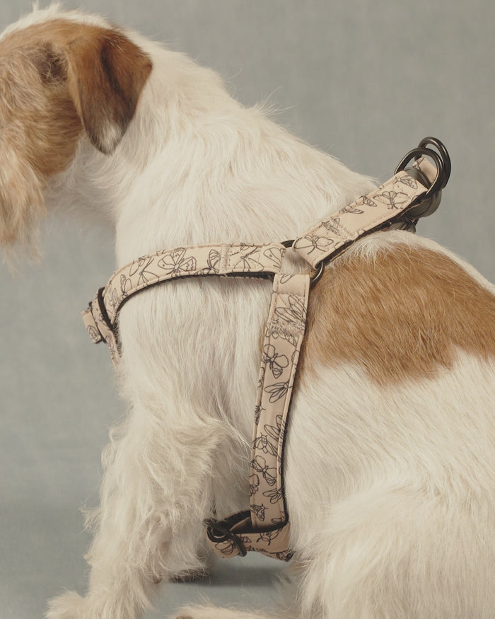 Butterfly harness S