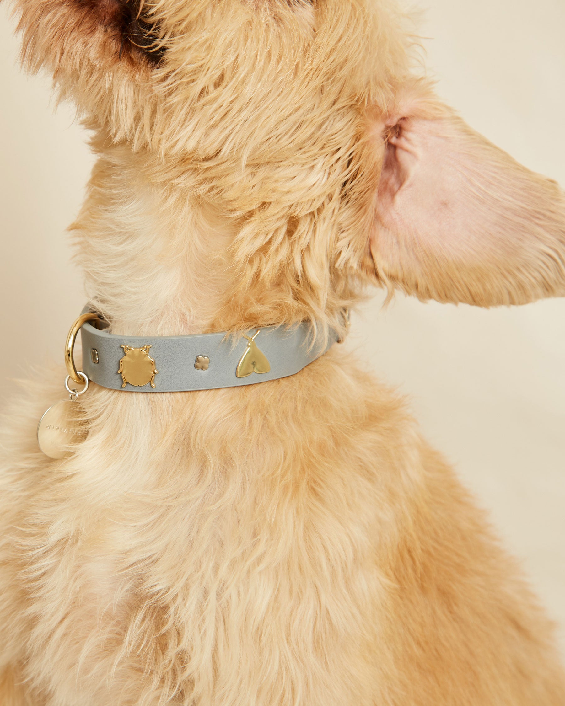 Collar insectos gris | S | M | L |