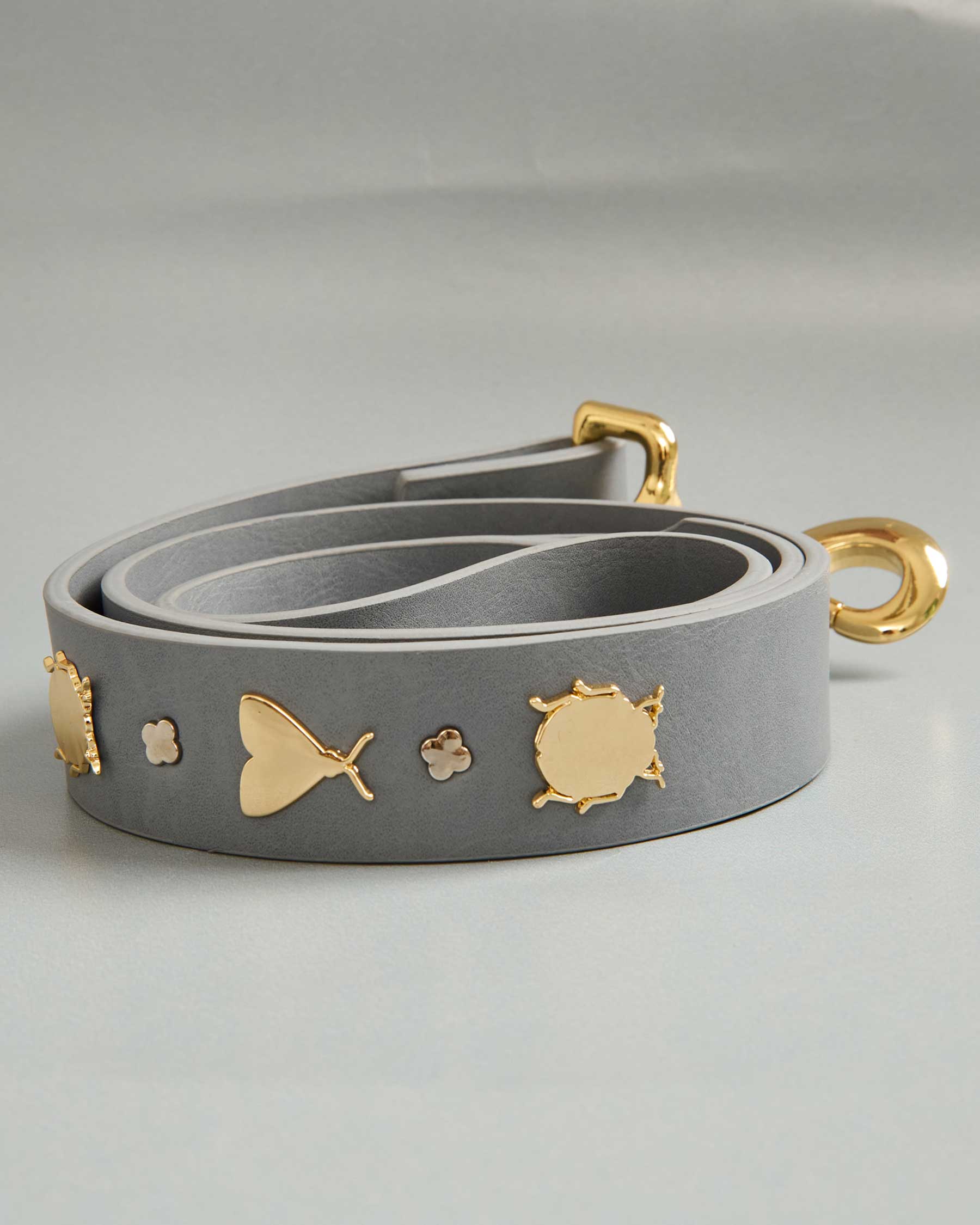 Insect leash for dogs